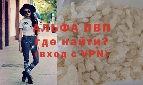 амф Верхний Тагил