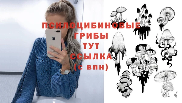 твердый Верея