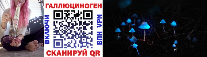 Псилоцибиновые грибы Psilocybine cubensis  Инза 